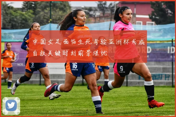 中国女足面临生死考验亚洲杯或成自救关键时刻前景堪忧